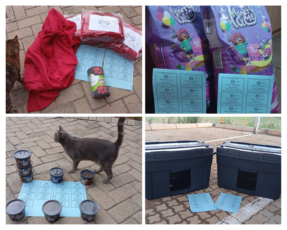 Campus Cat Care
